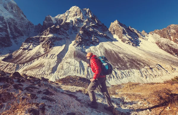 Vandrare i Himalaya bergen — Stockfoto