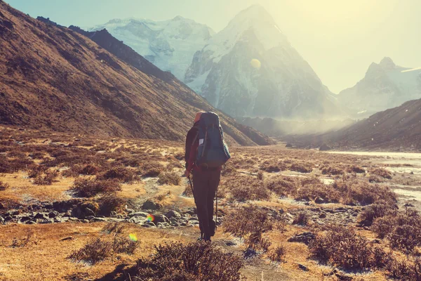 Himalaya Dağları'nda uzun yürüyüşe çıkan kimse — Stok fotoğraf