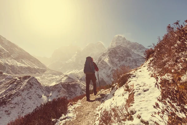 Senderista en las montañas del Himalaya — Foto de Stock