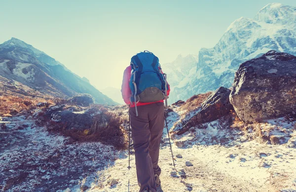 Hiker in Himalaya mountains — Stock Photo, Image