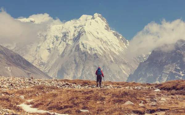 Senderista en las montañas del Himalaya — Foto de Stock