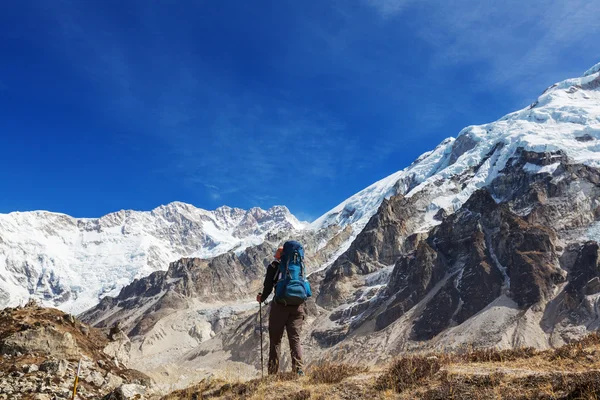 Senderista en las montañas del Himalaya — Foto de Stock