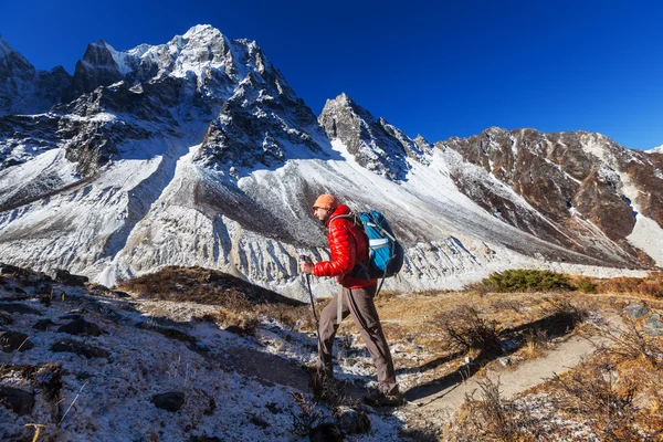 Hiker in Himalaya mountains — Stock Photo, Image