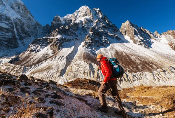 Wandelaar in bergen van de Himalaya — Stockfoto