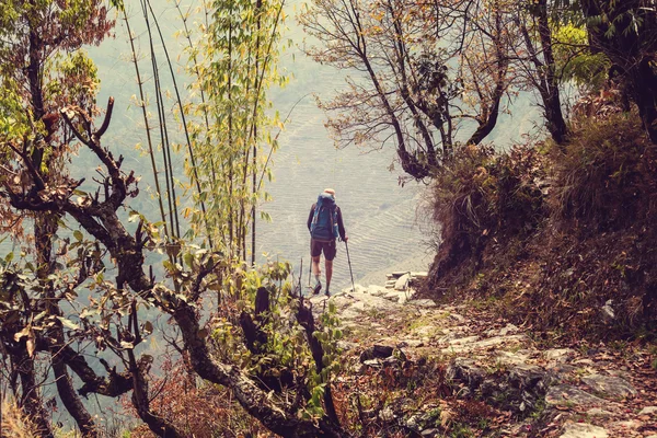 Caminhante em selvas do Himalaia — Fotografia de Stock