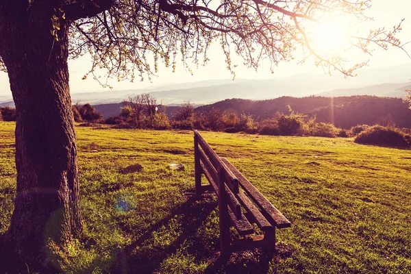 Serenity bahar bahçe — Stok fotoğraf