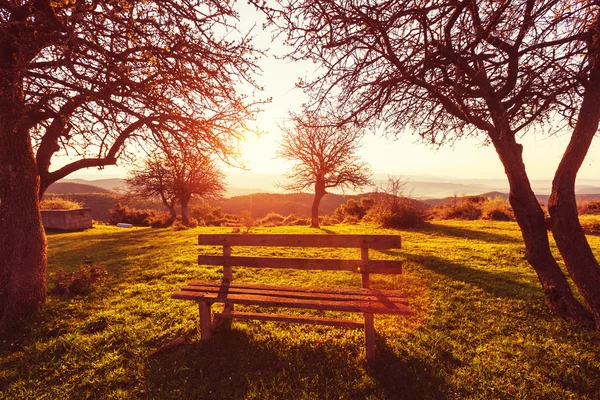 Gelassenheit Frühlingsgarten — Stockfoto