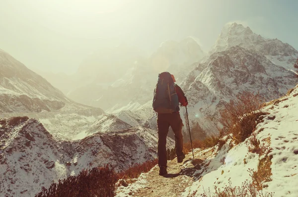 Wanderer im Himalaya-Gebirge — Stockfoto