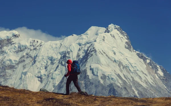 Turysta w górach Himalajach — Zdjęcie stockowe