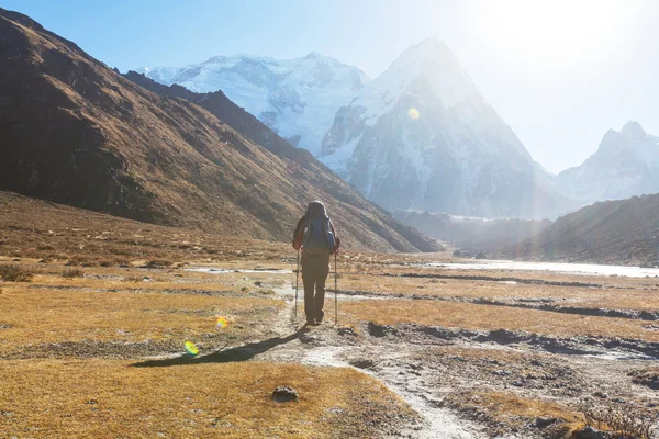 Senderista en las montañas del Himalaya — Foto de Stock