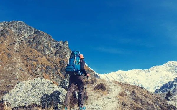 Vandrare i Himalaya bergen — Stockfoto