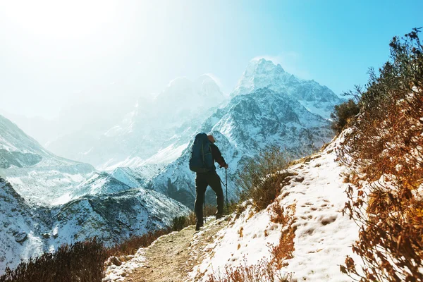 Senderista en las montañas del Himalaya — Foto de Stock