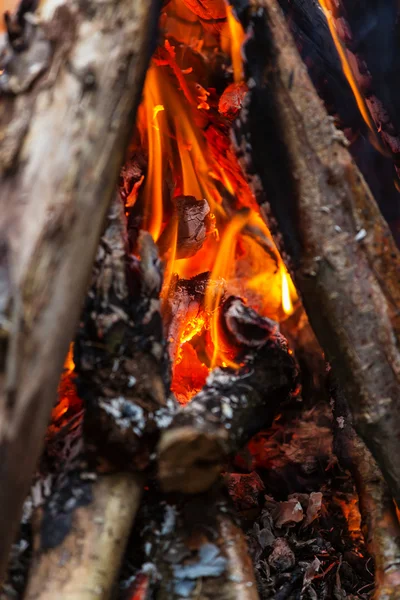 Brûler le feu de joie dans la forêt — Photo