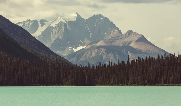 Schöner see in kanada — Stockfoto