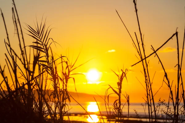 Zachód słońca na wybrzeżu morza — Zdjęcie stockowe