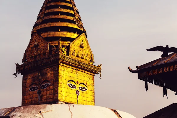 Nepal 'deki Budist Stupa — Stok fotoğraf