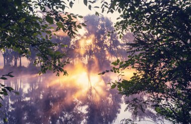 nehir sis yaz sezonu