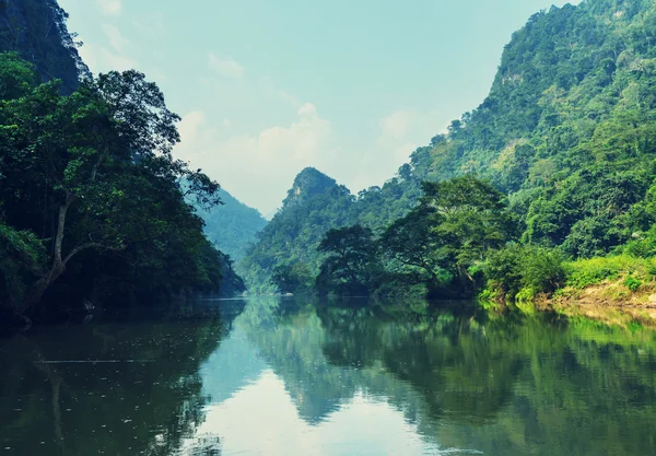 Спокійне озеро немовля у В'єтнамі — стокове фото