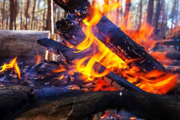 Heldere vreugdevuur in het forest — Stockfoto