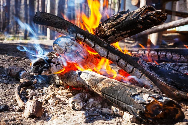 Helles Lagerfeuer im Wald — Stockfoto