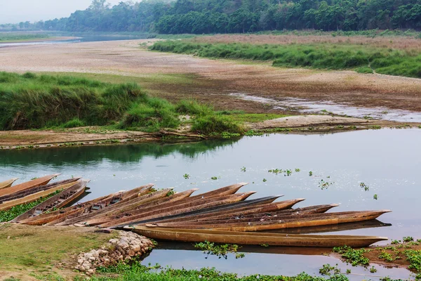 Chitwan au Népal sur fond — Photo