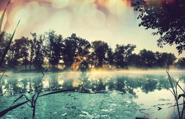 Flussnebel im Sommer — Stockfoto