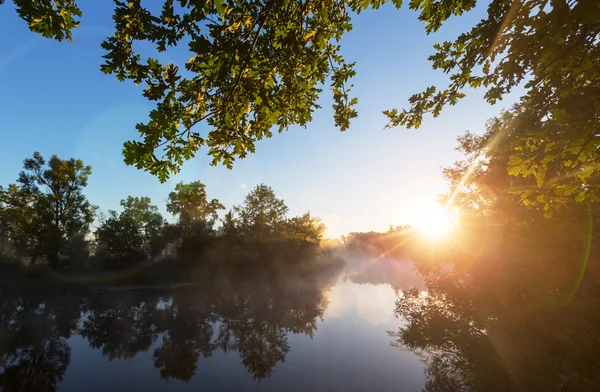 Flussnebel im Sommer — Stockfoto