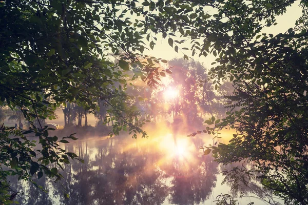 River fog in summer season — Stock Photo, Image