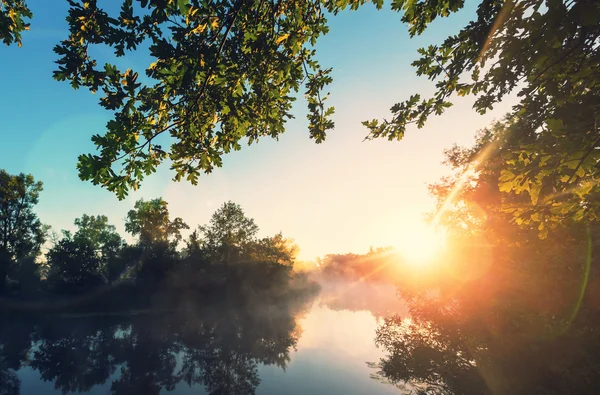 Niebla del río en temporada de verano —  Fotos de Stock