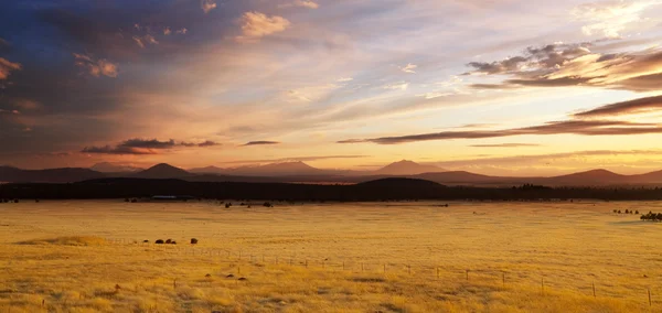 Prairie  landscapes on background — Stock Photo, Image