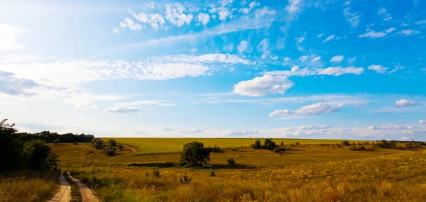 Farm road in the meadows — Stock Photo, Image