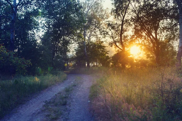 Wirtschaftsweg auf den Wiesen — Stockfoto