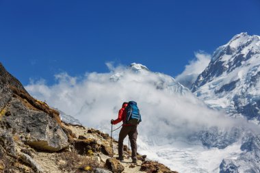 Uzun yürüyüşe çıkan kimse Himalaya dağ.