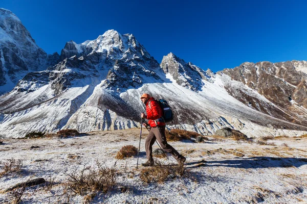 Senderista en la montaña del Himalaya . — Foto de Stock