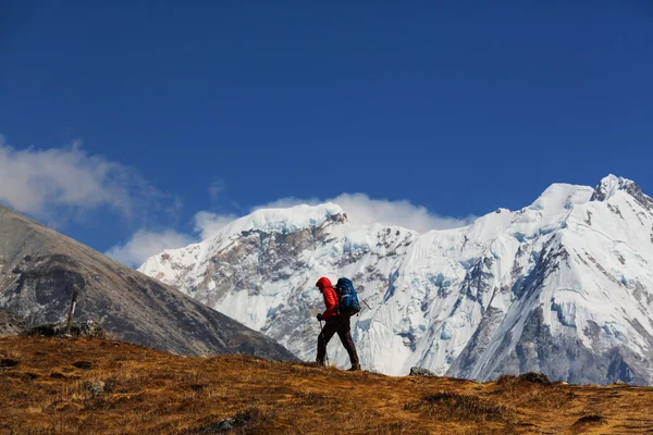 Hiker in Himalayas mountain. — Stock Photo, Image