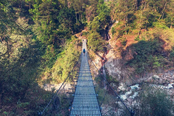 在喜马拉雅山丛林徒步旅行者 — 图库照片