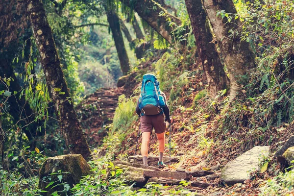 Randonneur dans les jungles himalayennes — Photo