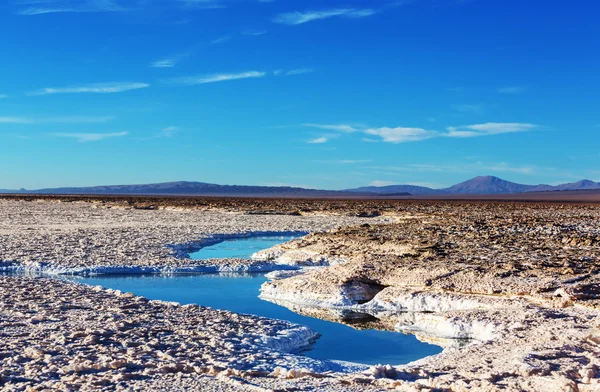 Ojo del Mar no deserto de sal — Fotografia de Stock