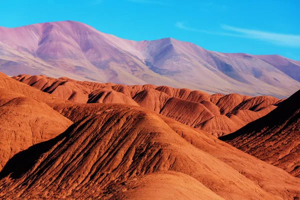 Meseta de la Montaña La Puna — Foto de Stock