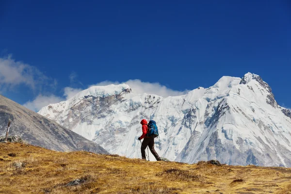 Climber in Himalayan mountains — Stock Photo, Image