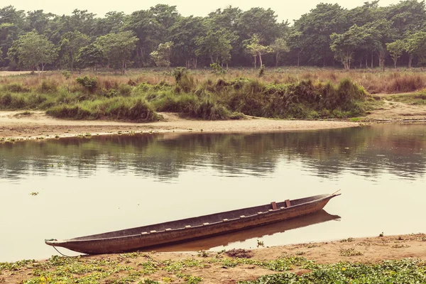 Chitwan国家公园 — 图库照片