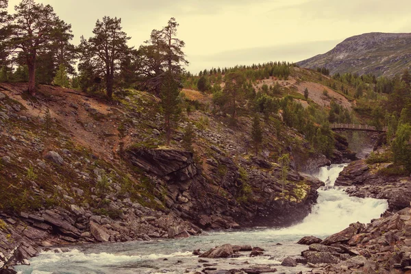 Прекрасный пейзаж Норвегии — стоковое фото