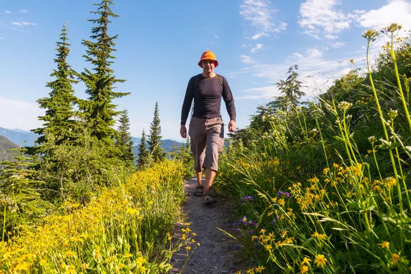 Backpacker w letnie góry — Zdjęcie stockowe