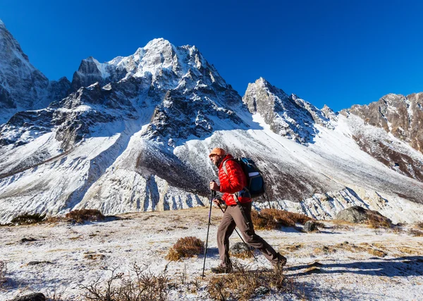 Himalaya Dağları'nda uzun yürüyüşe çıkan kimse — Stok fotoğraf