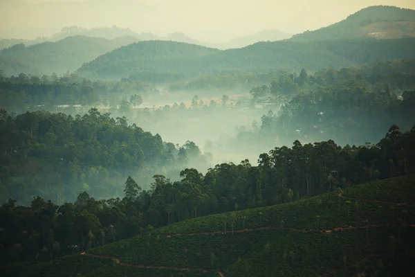 Bela paisagem do Sri Lanka — Fotografia de Stock