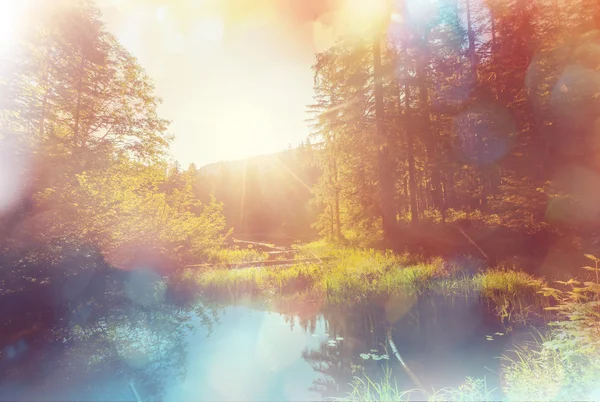 Hermoso amanecer en el lago — Foto de Stock