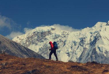 Himalaya Dağları'nda uzun yürüyüşe çıkan kimse