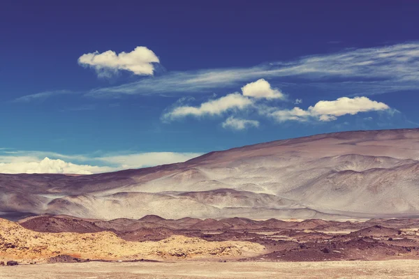 Landscape of Northern Argentina — Stock Photo, Image