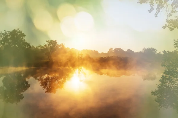 Flussnebel im Sommer — Stockfoto