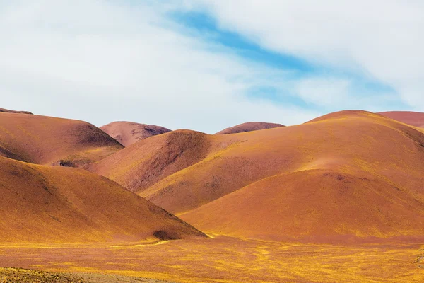 Landschaft im Norden Argentiniens — Stockfoto